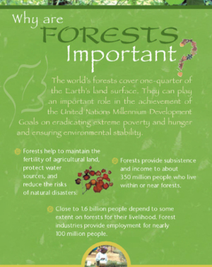 Global Objective on Forests