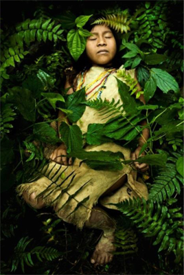 wining photo Pablo Pro International Forest Photograph Contest
