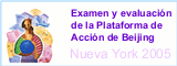 Examen y evaluación de la Plataforma de Acción de Beijing Nueva York 2005