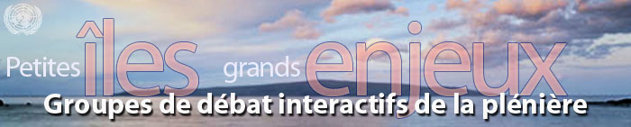 Petites îles, grands enjeux - Réunion internationale chargée d'examiner l'application du Programme d'action pour le développement durable des petits Etats insulaires en développement (Port-Louis, Maurice du 10 au 14 janvier 2005) >> Groupes de débat interactifs de la plénière