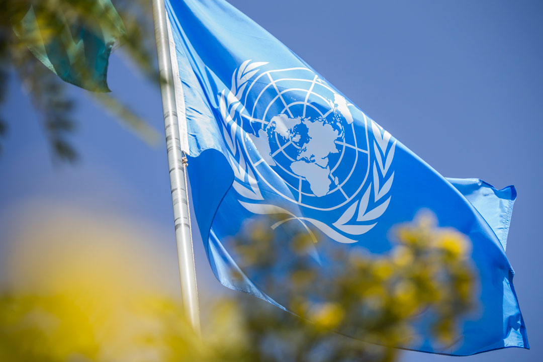 秘书长关于联合国工作的报告 | 联合国秘书长