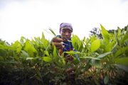 Woman in the Field