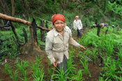 photo of woman in forest