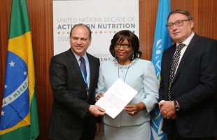 El Ministro de Sanidad de Brasil y representantes de la OMS en un evento, convocado en Ginebra el 22 de mayo de 2017, en el que Brasil anunció sus compromisos con el Decenio de Acción de las Naciones Unidas sobre la Nutrición.