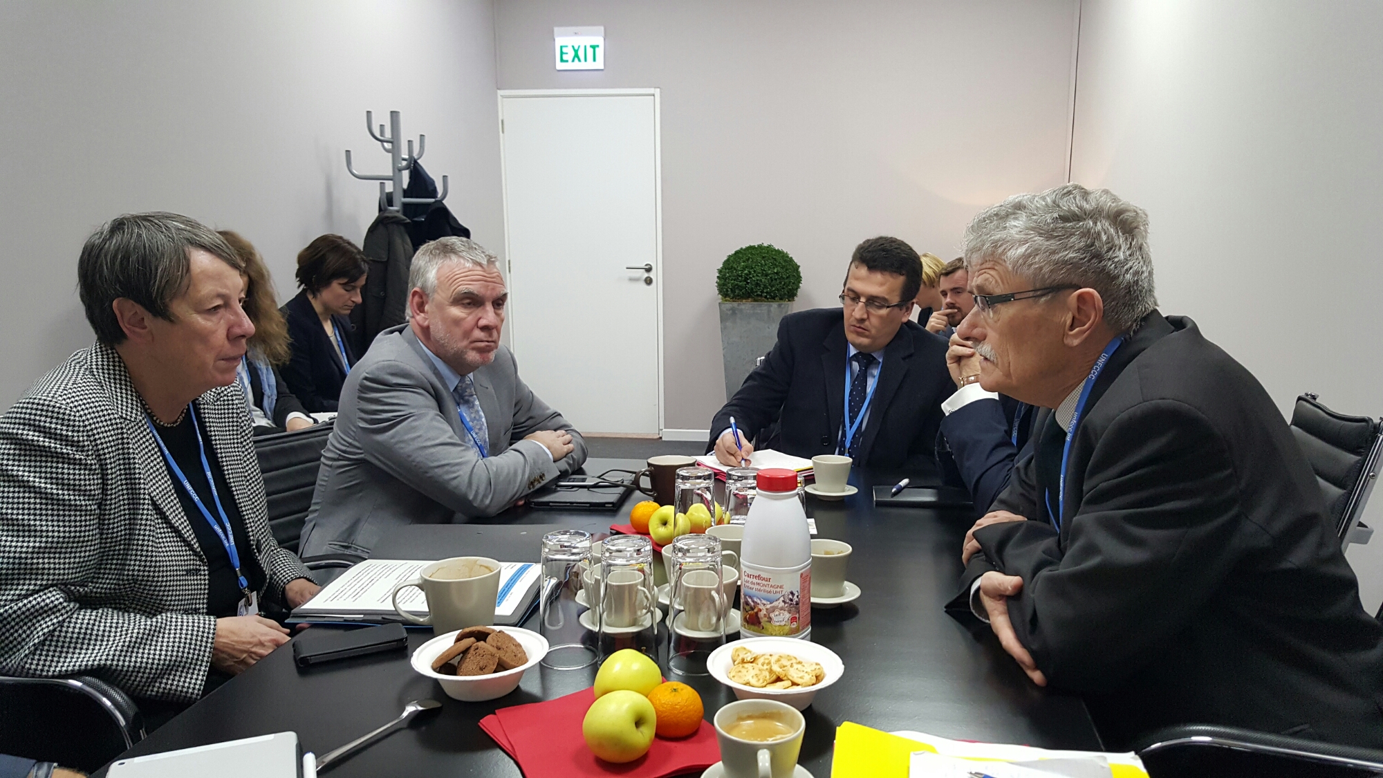 The President met the German Environment Minister before COP21 in Paris