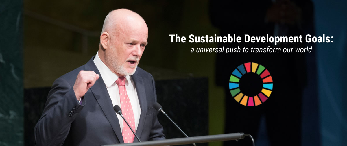 The Sustainable Development Goals: a universal push to transform our world