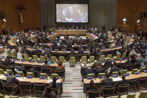 A wide view of the High-level event on climate change.