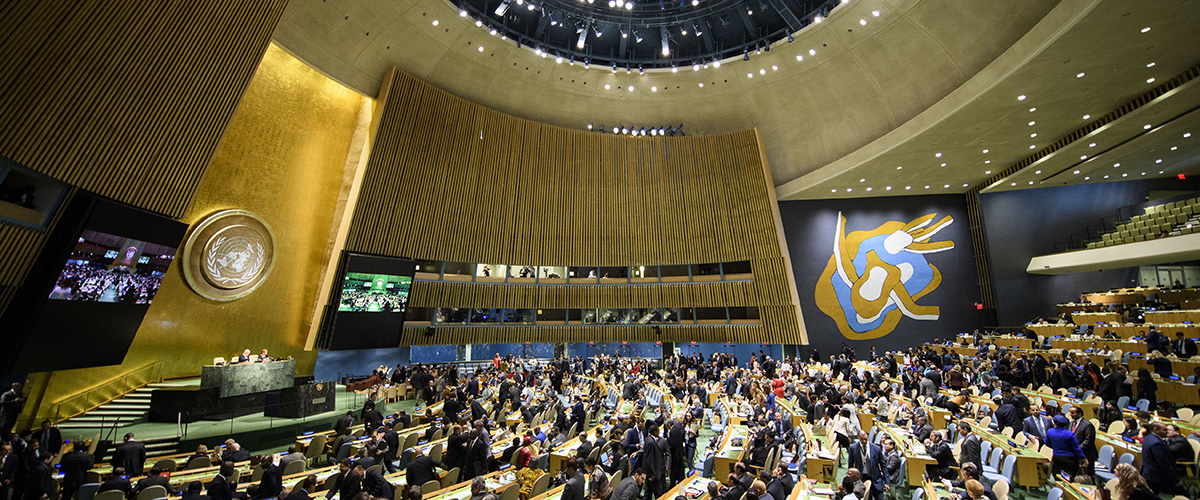 Делегаты Генеральной Ассамблеи ООН выбирают непостоянных членов Совета Безопасности, июнь 2017 года. Фото ООН/Мануэль Элиас