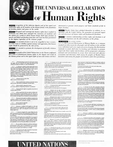 The Universal Declaration of Human Rights