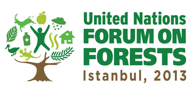 Logo, 10º Foro de las Naciones Unidas sobre bosques (UNFF10)