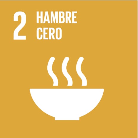SDG2.jpg