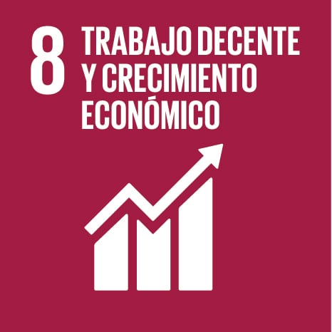 SDG8.jpg