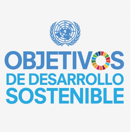 Logo de los Objetivos y metas de desarrollo sostenible