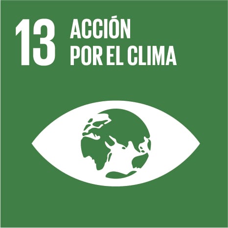 El Objetivo 13 de Desarrollo Sostenible