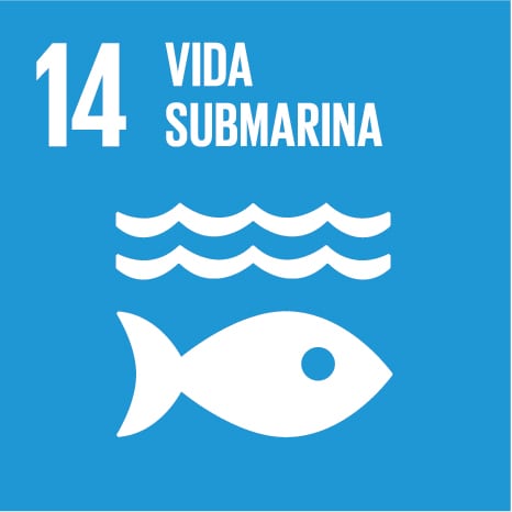 Objetivo 14 - VIDA SUBMARINA. Foto ONU