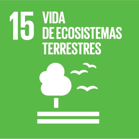 Objetivo 15 - VIDA DE ECOSISTEMAS TERRESTRES