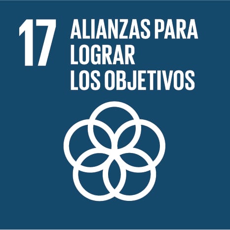 Objetivo 17 - ALIANZAS PARA LOGRAR LOS OBJETIVOS