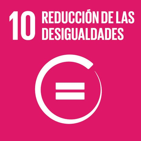SDG10.jpg