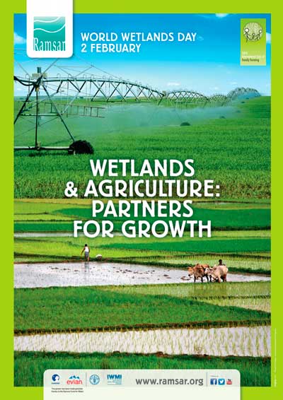 Participate in World Wetlands Day and help spread the word about the importance of wetlands for agriculture!