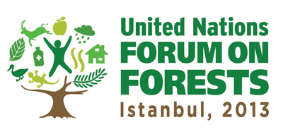 10th United Nations Forum on Forests (UNFF10) logo