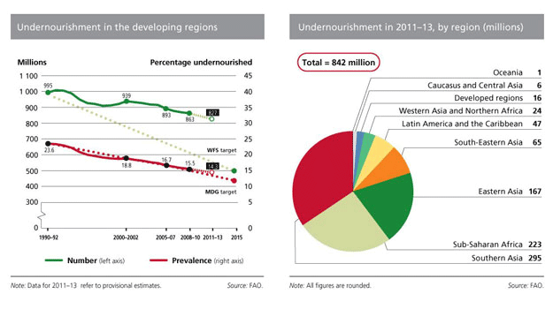 Undernourishment in 2011-2013 by region (millions)