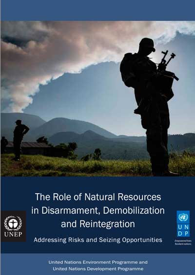 Portada del informe The Role of Natural Resources in Disarmament, Demobilization and Reintegration