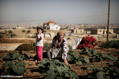 Water scarcity among critical food security issues in Near East and North Africa