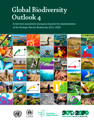 Global Biodiversity Outlook 4