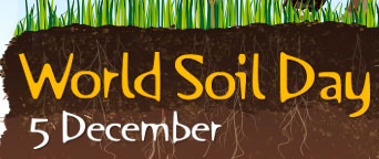 UN launches 2015 International Year of Soils.