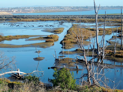 UNESCO-IHE and World Resources Institute partner on Water Resources Management.