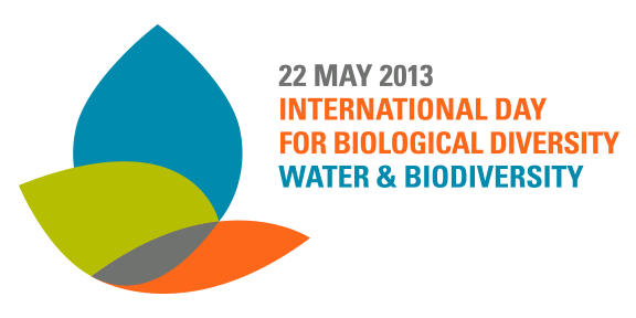 International Day for Biological Diversity 2013 logo.