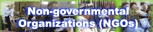 Non--governmental Orgnizations (NGOs)