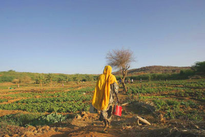 Image of rural women, Photo credit: FAO