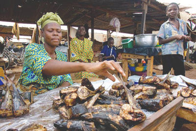 Image of rural women, Photo credit: FAO