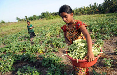 Image of rural women, Photo credit: FAO