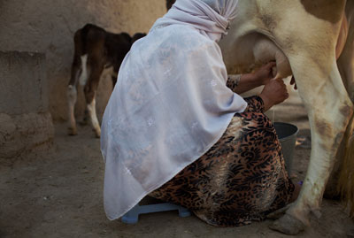 Image of rural women, Photo credit: FAO