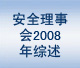 安全理事会2008年综述