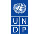 联合国开发计划署