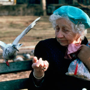 一位老人在纽约中央公园喂鸽子。联合国图片/Gaston Guarda