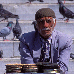 一名兜售食品的老人，他身后是成群的鸽子，摄于土耳其。图片：世界银行
