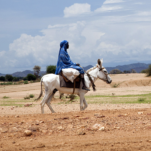 在苏丹达利地区的田间地头，一名流离失所妇女骑着驴。联合国图片/Albert González Farrán