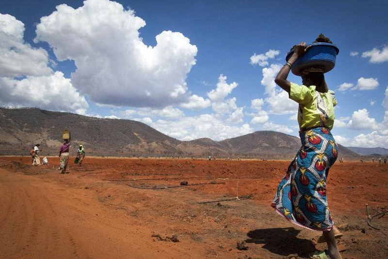 Les changements climatiques contribuent à intensifier l’insécurité alimentaire de beaucoup de gens à travers le monde. Photo FAO/IFAD/WFP/Eliza Deacon