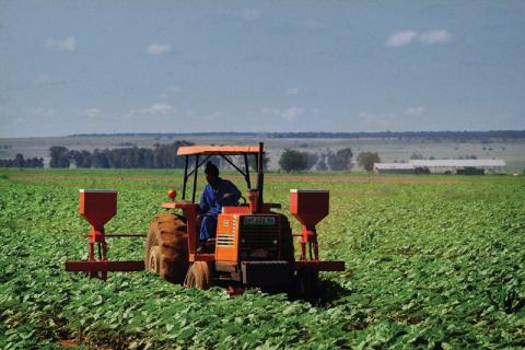 To boost African agriculture, governments need to invest 10 per cent or more of their budgets in the sector