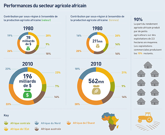 Performances du secteur agricole africain