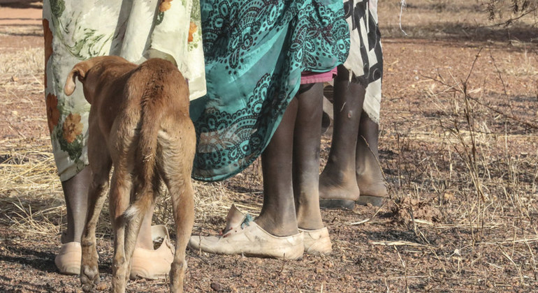 Asilimia 87 ya wanawake na wasichana walibakwa na zaidi ya mtu mmoja kwa saa nyingi nchini Sudan Kusini. Picha: UNMISS/Isaac Billy 