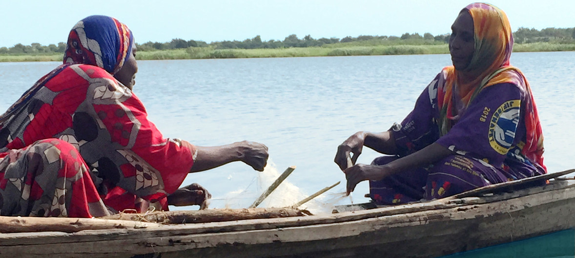 UN News/Dan Dickinson Fisherwomen like Falmata Mboh Ali (right) hard at work on Lake Chad, which has shrunk to a tenth of its original size over the past decades leaving dwindling stocks of fish.