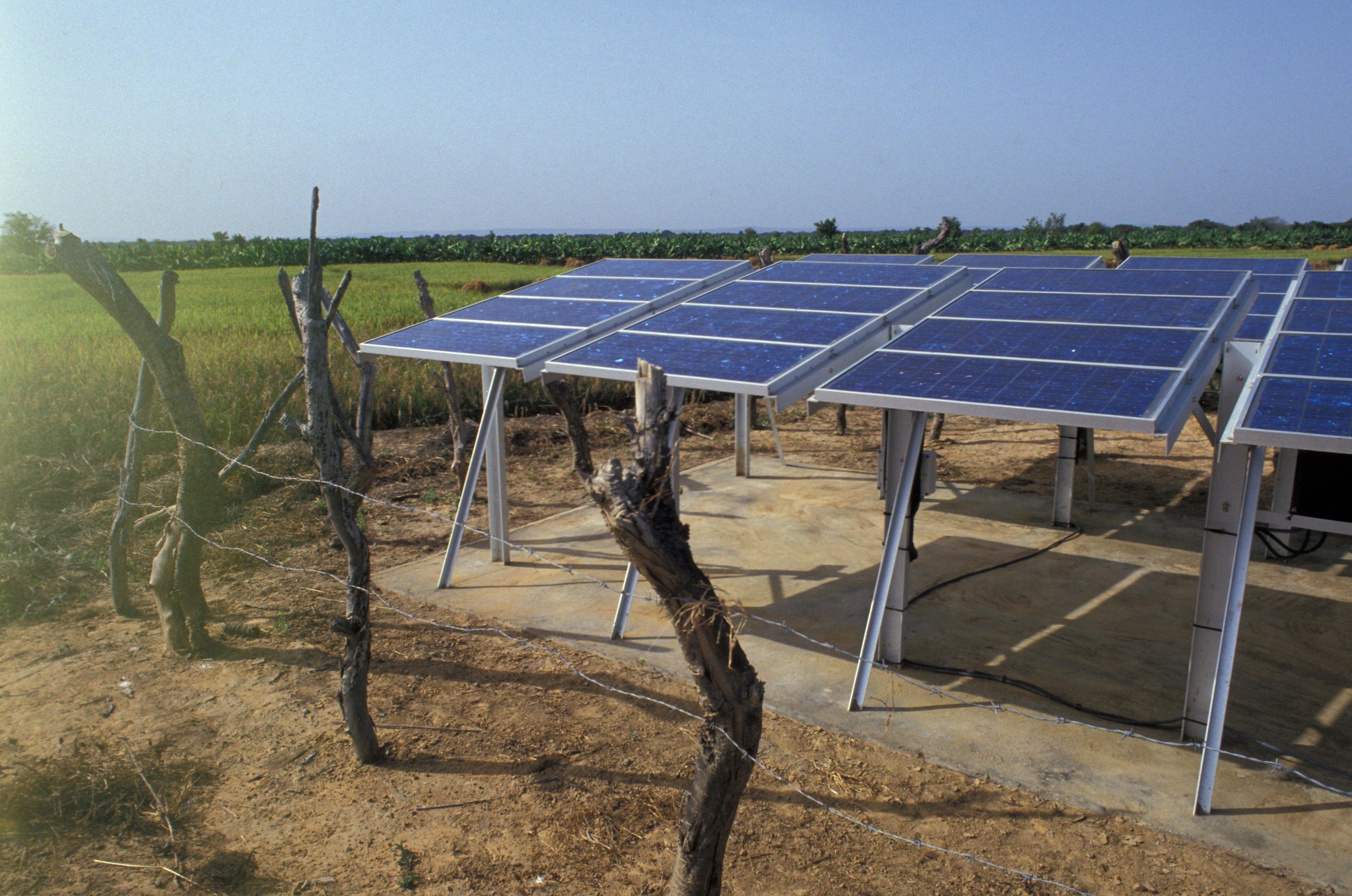 Solar panels on a farm in Mali.