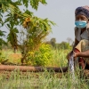 Woman working in irrigated field