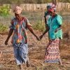 Women in field in Senegal.