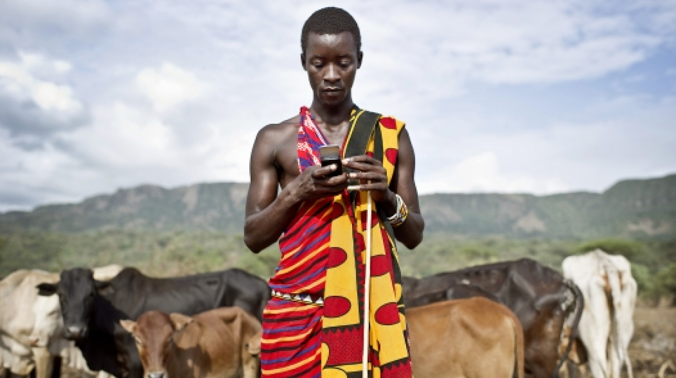 A Kenyan teacher checks his mobile phone while guarding his cattle. Photo: Panos/Sven Torfinn